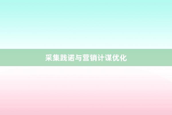 采集践诺与营销计谋优化